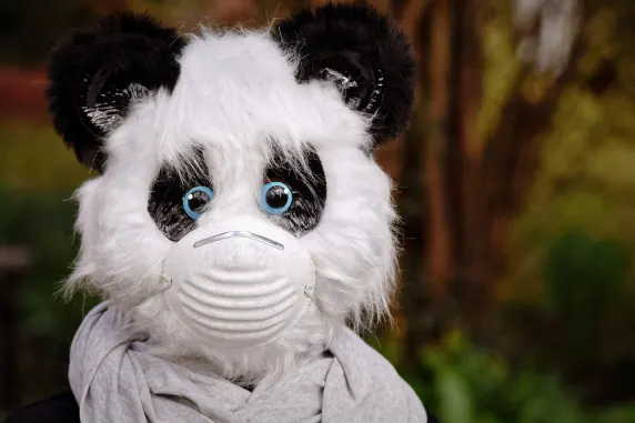 BigAzart Cazino Cazinou Suport